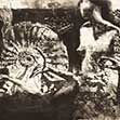 Figures with Bees and Ammonites