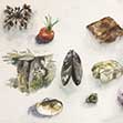 Beach Collection