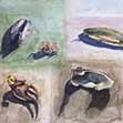 Sea Treasure